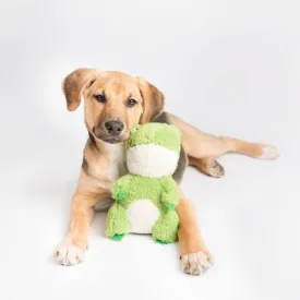 [10% OFF] ZippyPaws Cheeky Chumz Frog Dog Toy