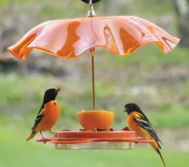 Acrylic Weather Guard-4 Colors