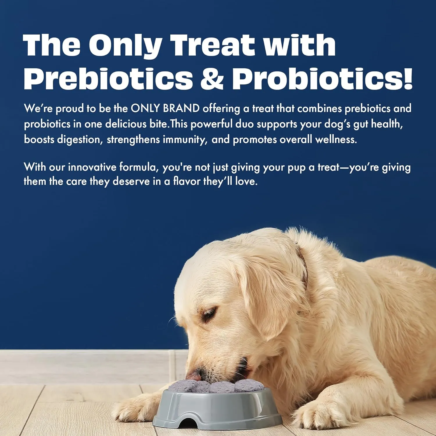 Blueberry Yogurt Melties Prebiotics and Probiotics for Dog | Promotes Immunity, Supports Gut Health | May Help Support Yeast Balance | May Help in Occasional Itchy Skin | Grain-Free (1.3oz)