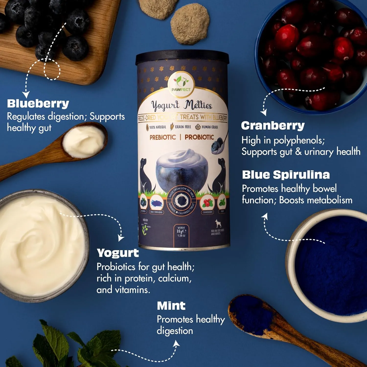 Blueberry Yogurt Melties Prebiotics and Probiotics for Dog | Promotes Immunity, Supports Gut Health | May Help Support Yeast Balance | May Help in Occasional Itchy Skin | Grain-Free (1.3oz)