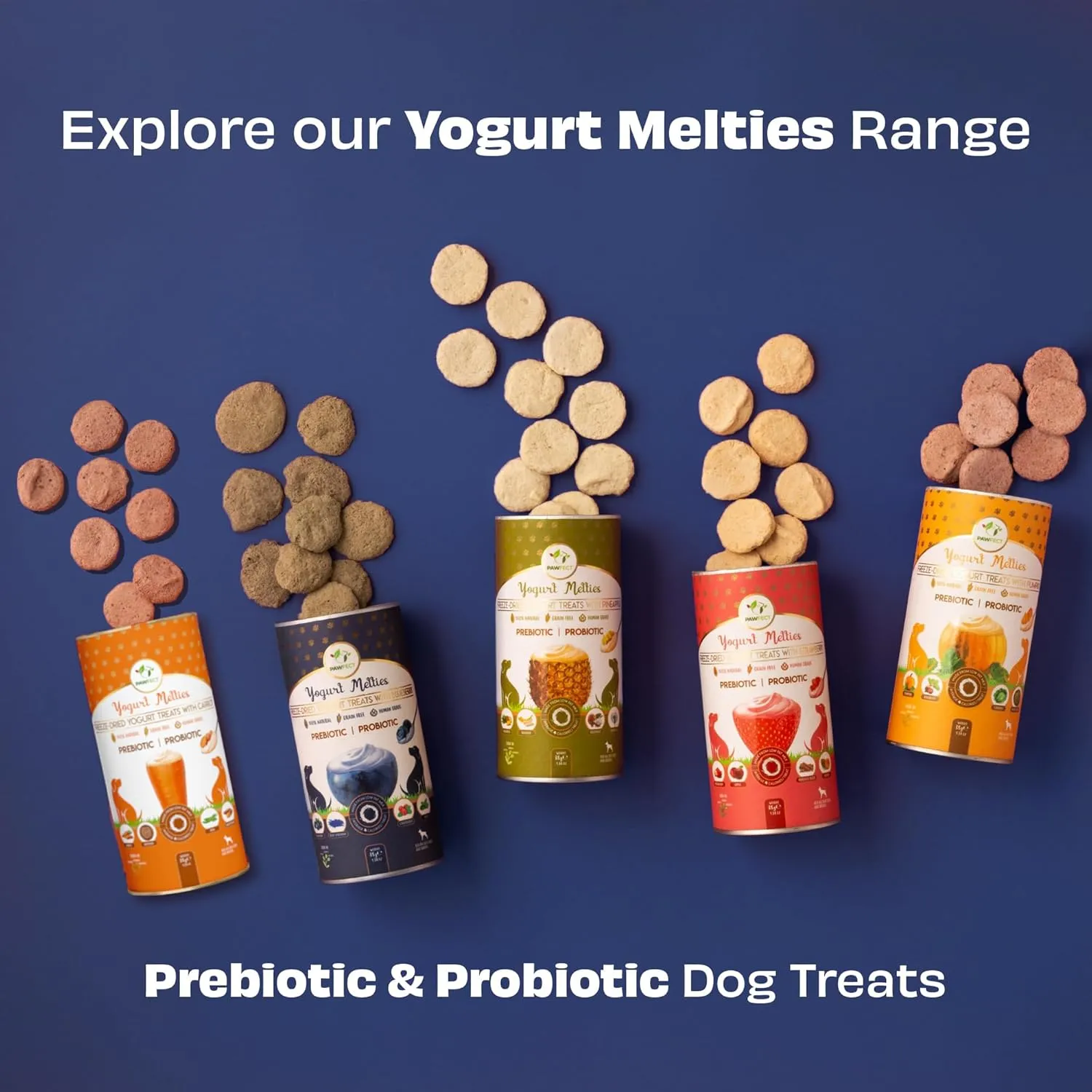 Blueberry Yogurt Melties Prebiotics and Probiotics for Dog | Promotes Immunity, Supports Gut Health | May Help Support Yeast Balance | May Help in Occasional Itchy Skin | Grain-Free (1.3oz)