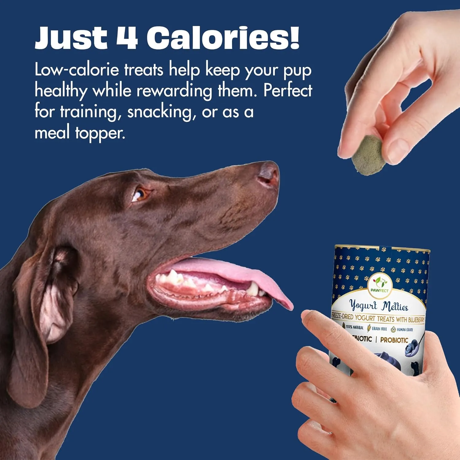 Blueberry Yogurt Melties Prebiotics and Probiotics for Dog | Promotes Immunity, Supports Gut Health | May Help Support Yeast Balance | May Help in Occasional Itchy Skin | Grain-Free (1.3oz)