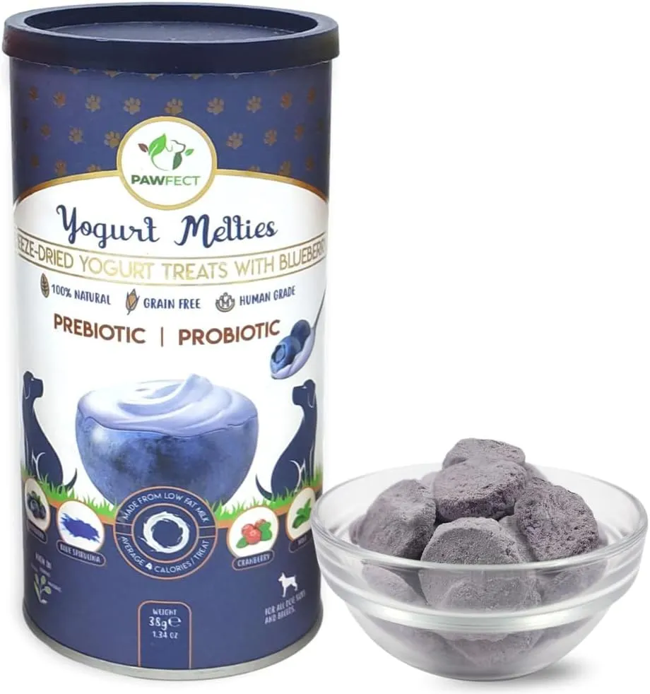 Blueberry Yogurt Melties Prebiotics and Probiotics for Dog | Promotes Immunity, Supports Gut Health | May Help Support Yeast Balance | May Help in Occasional Itchy Skin | Grain-Free (1.3oz)