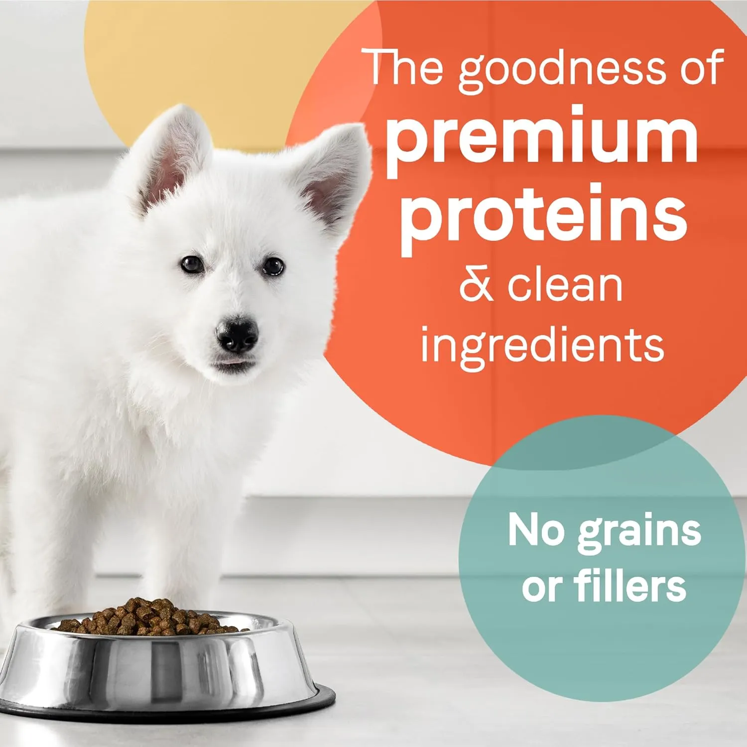Canidae Pure Grain Free Dry Puppy Food, Real Salmon & Sweet Potato, 22 lbs.