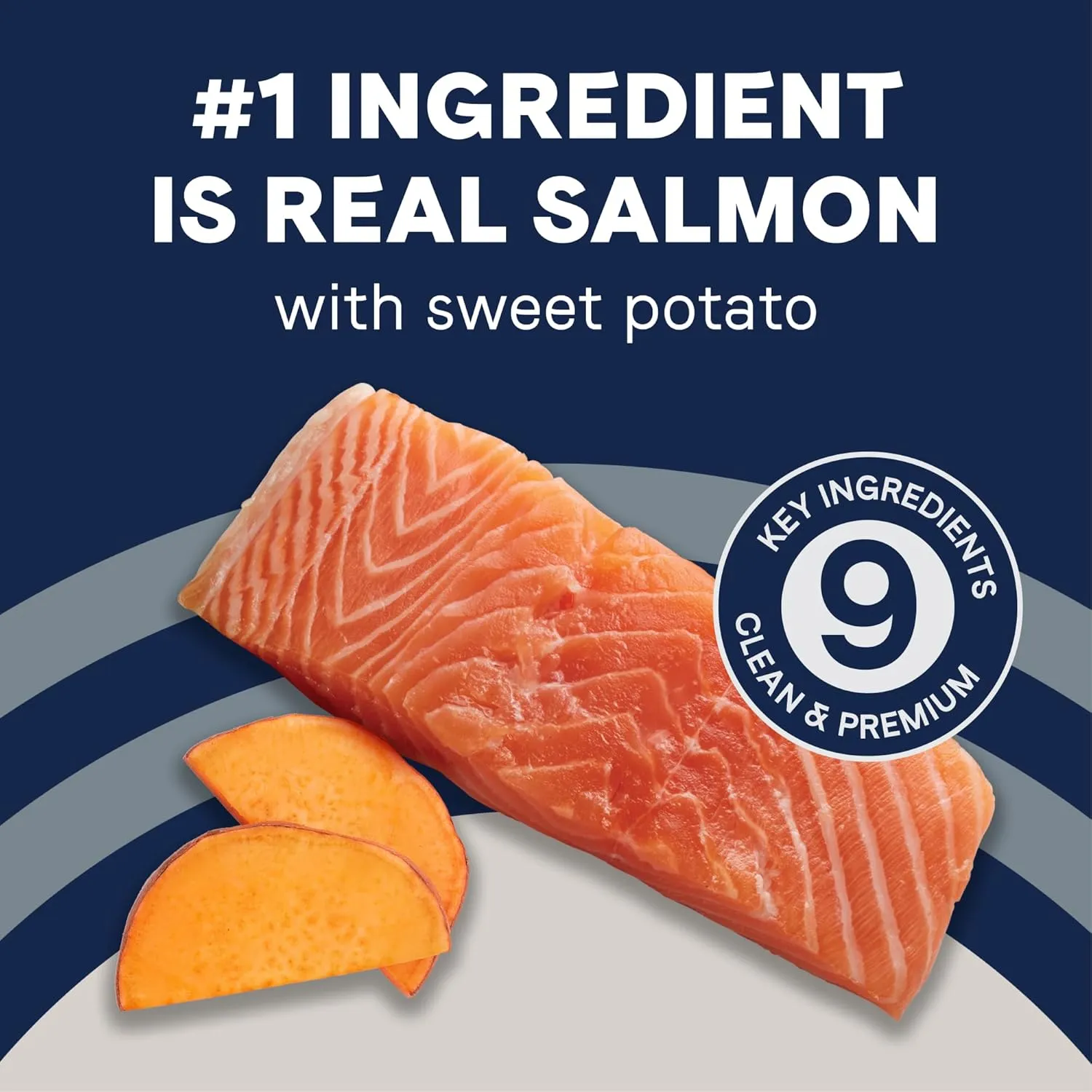 Canidae Pure Grain Free Dry Puppy Food, Real Salmon & Sweet Potato, 22 lbs.