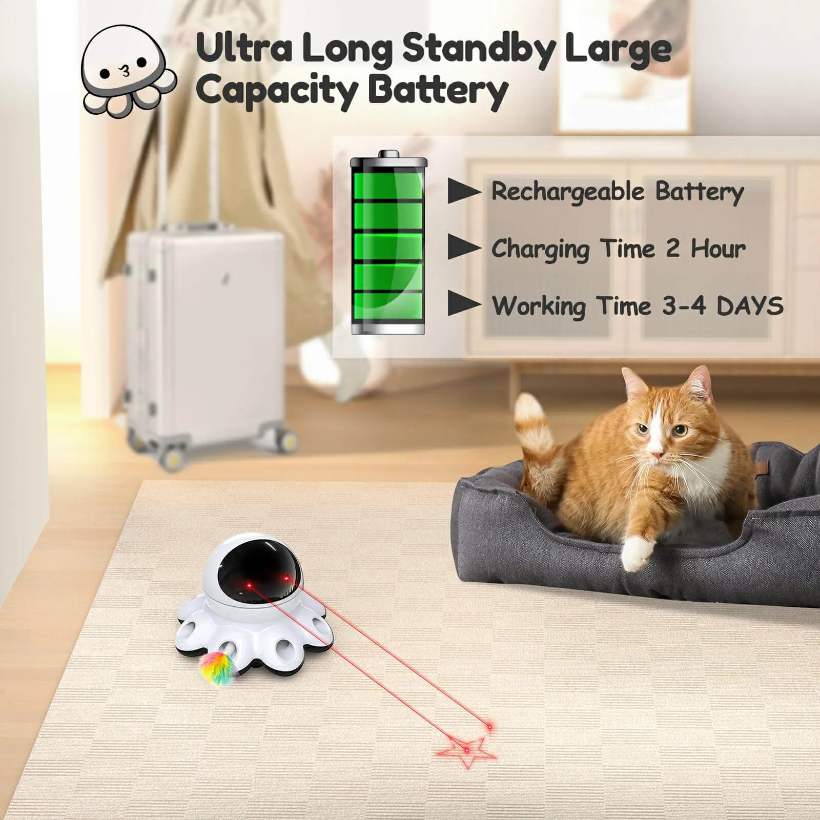 Cat Laser Toy