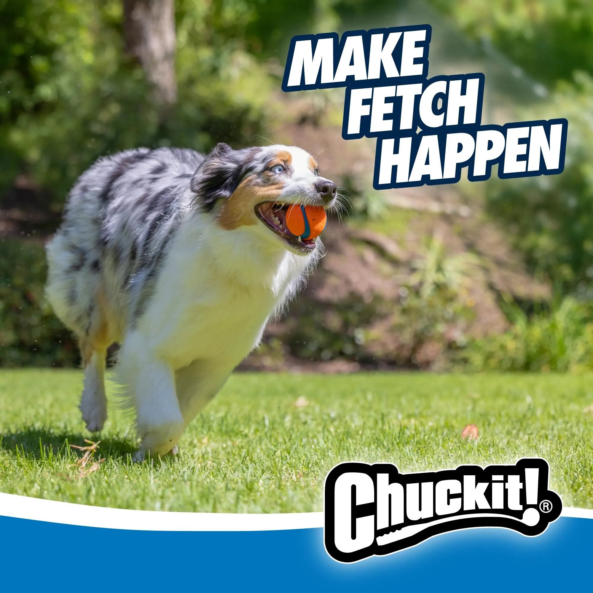Chuckit! Ultra Ball, Medium (2.5 Inch), 2 Count