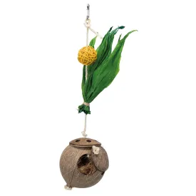 Coconut on a Sisal Rope Bird Toy
