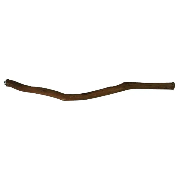 Dragonwood20-1 (20"x1")