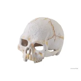 Exo Terra Primate Skull (Small)
