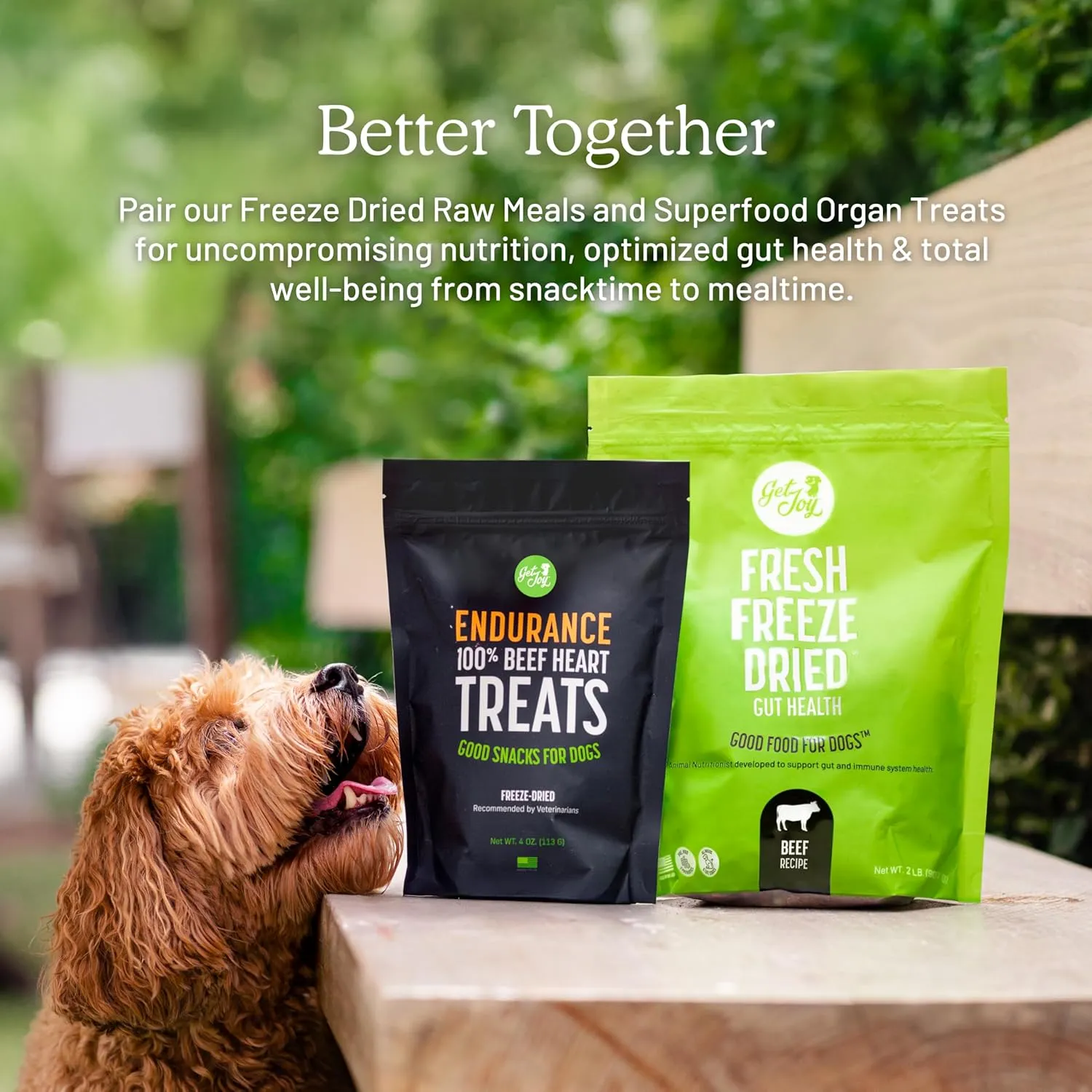 Get Joy Gut Health Fresh Freeze Dried Raw Meal, Beef Recipe, 16 Ounce Bag, Dog Food for Dogs of All Breeds and Life Stages, PhD Animal Nutritionist Formulated, USDA Beef, Made in USA