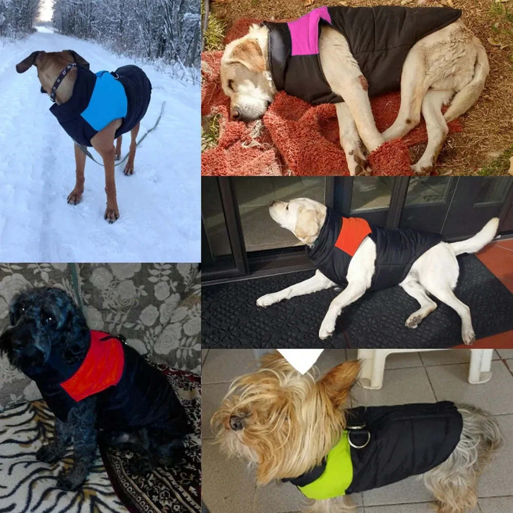Happy Tails Snuggle Pup Jacket