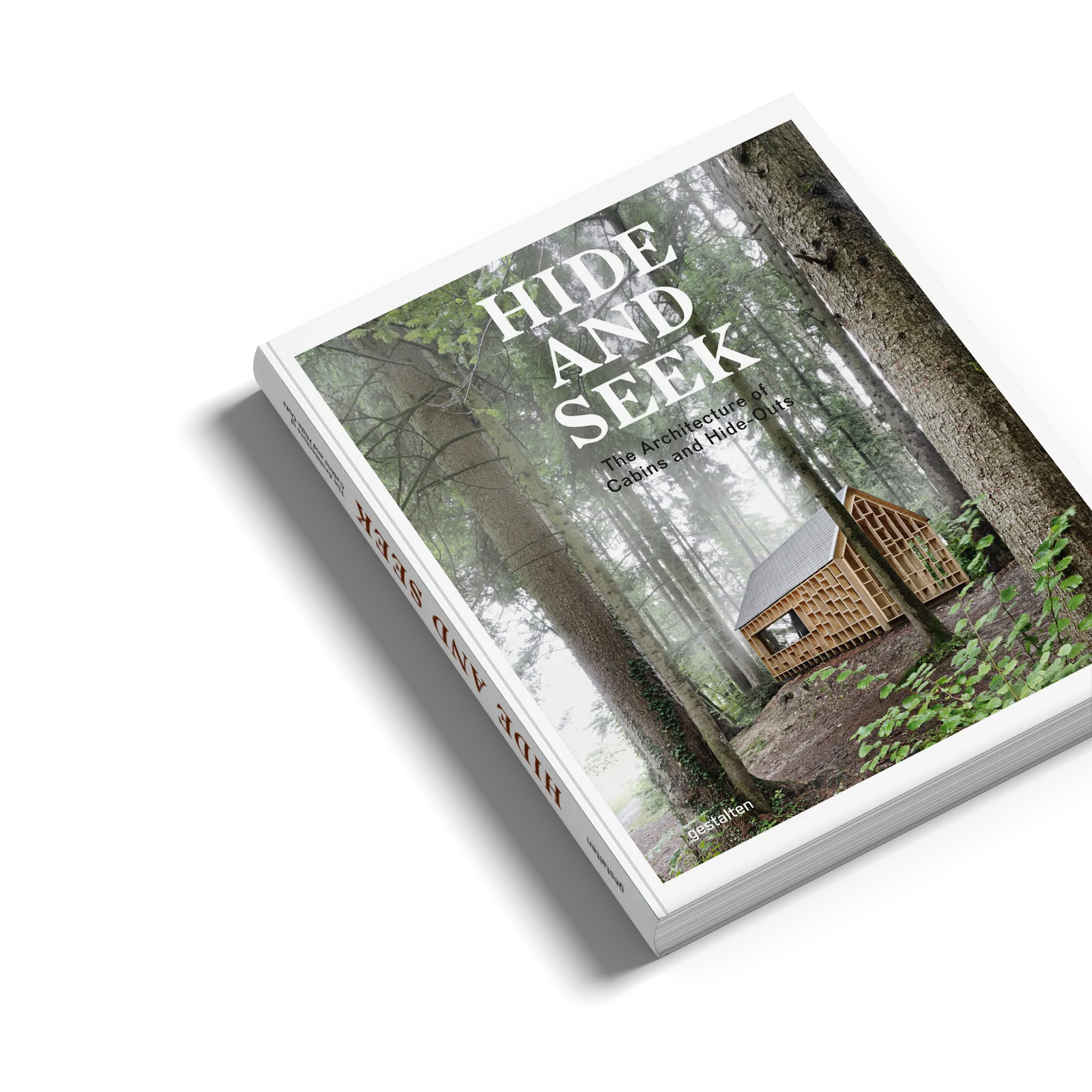 Hide and Seek