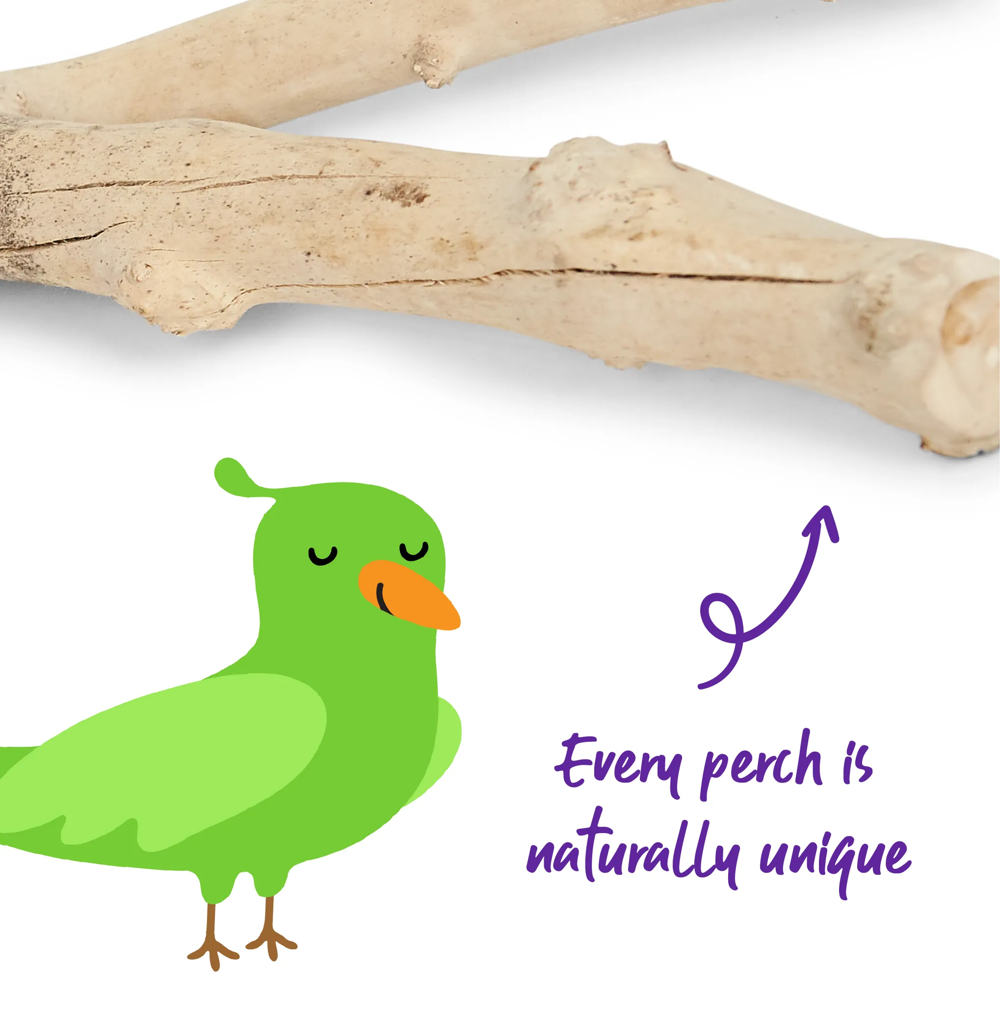 Natural Branch Perch