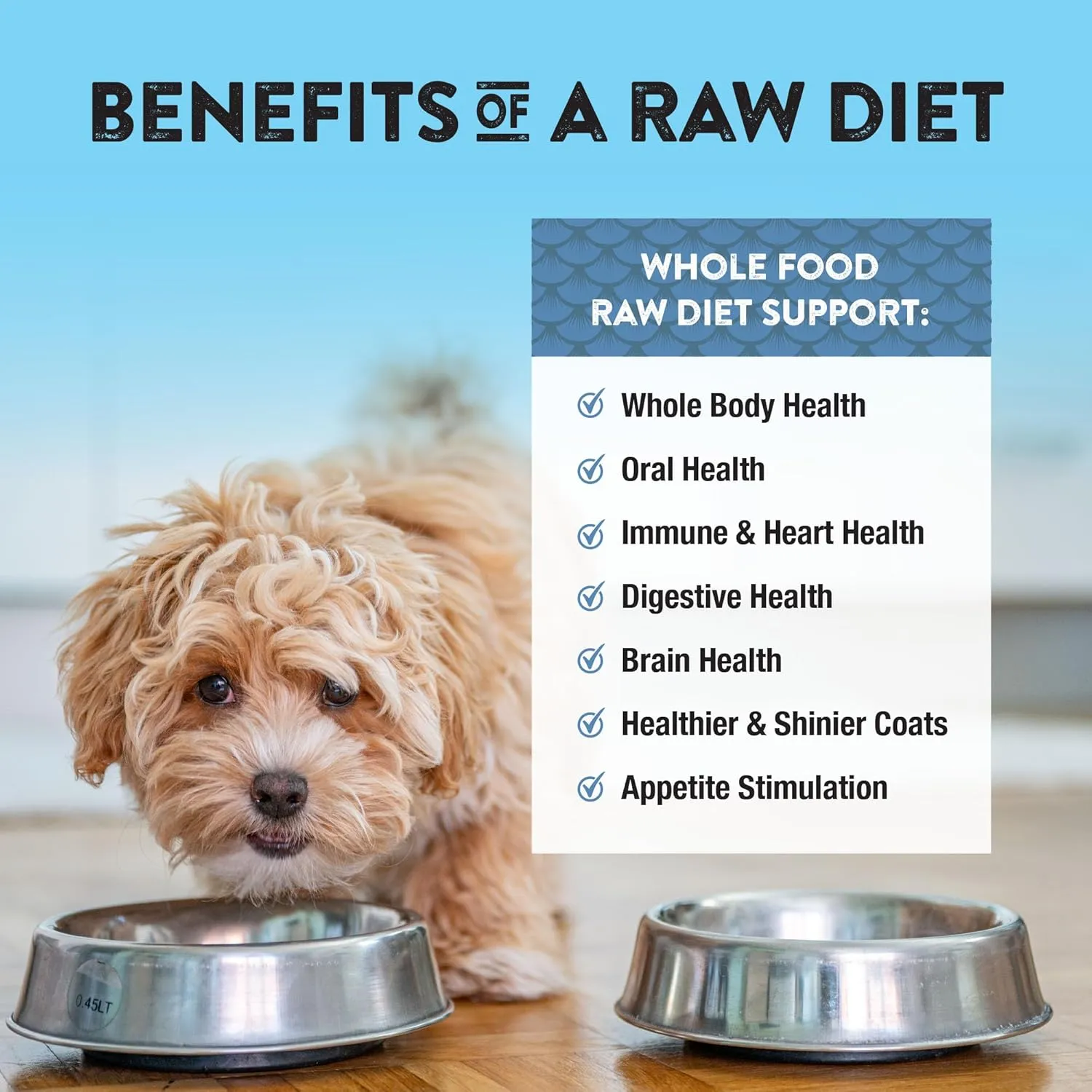 Northwest Naturals Freeze-Dried Whitefish & Salmon Dog Food - Bite-Sized Nuggets - Grain-Free, High-Protein, Raw Diet, Human-Grade Ingredients, All Natural, Omega-3 for Skin & Coat - 12 Oz