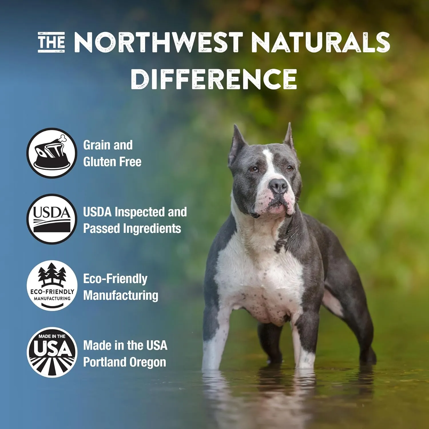Northwest Naturals Freeze-Dried Whitefish & Salmon Dog Food - Bite-Sized Nuggets - Grain-Free, High-Protein, Raw Diet, Human-Grade Ingredients, All Natural, Omega-3 for Skin & Coat - 12 Oz