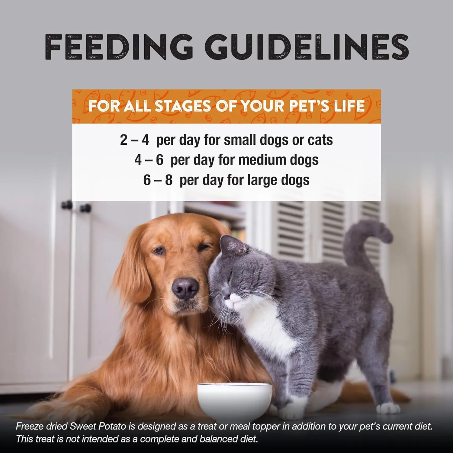 Northwest Naturals Raw Rewards Freeze-Dried Sweet Potato Treats for Dogs and Cats - Bite-Sized Pieces - Healthy, 1 Ingredient, Human Grade Ingredients, All Natural - 2 Oz