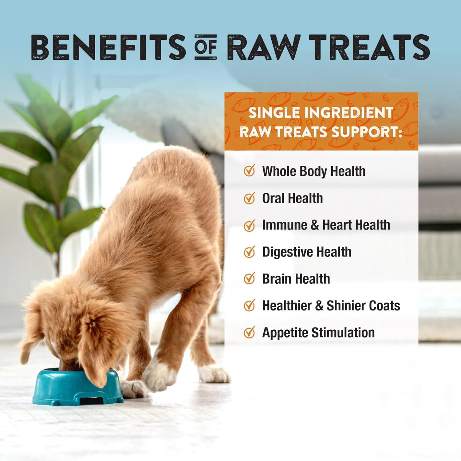 Northwest Naturals Raw Rewards Freeze-Dried Sweet Potato Treats for Dogs and Cats - Bite-Sized Pieces - Healthy, 1 Ingredient, Human Grade Ingredients, All Natural - 2 Oz