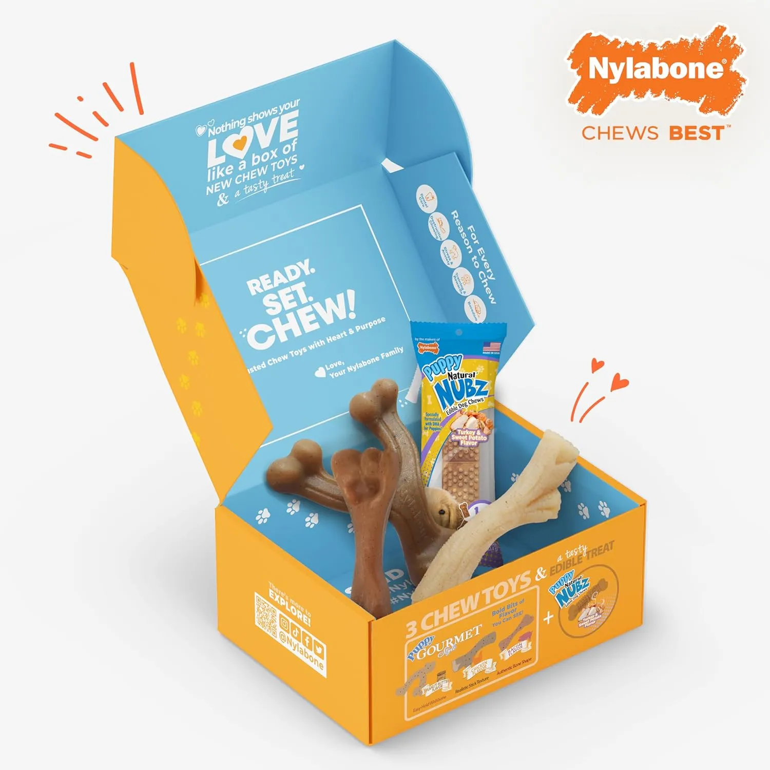 Nylabone Puppy Gift Box, Includes 3 Strong Chew Toys and 1 Natural Dog Treat, Gifts for Puppies, Small - Up to 25 lbs, 4 Pack