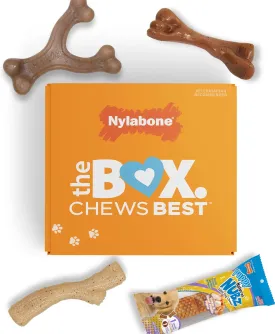 Nylabone Puppy Gift Box, Includes 3 Strong Chew Toys and 1 Natural Dog Treat, Gifts for Puppies, Small - Up to 25 lbs, 4 Pack