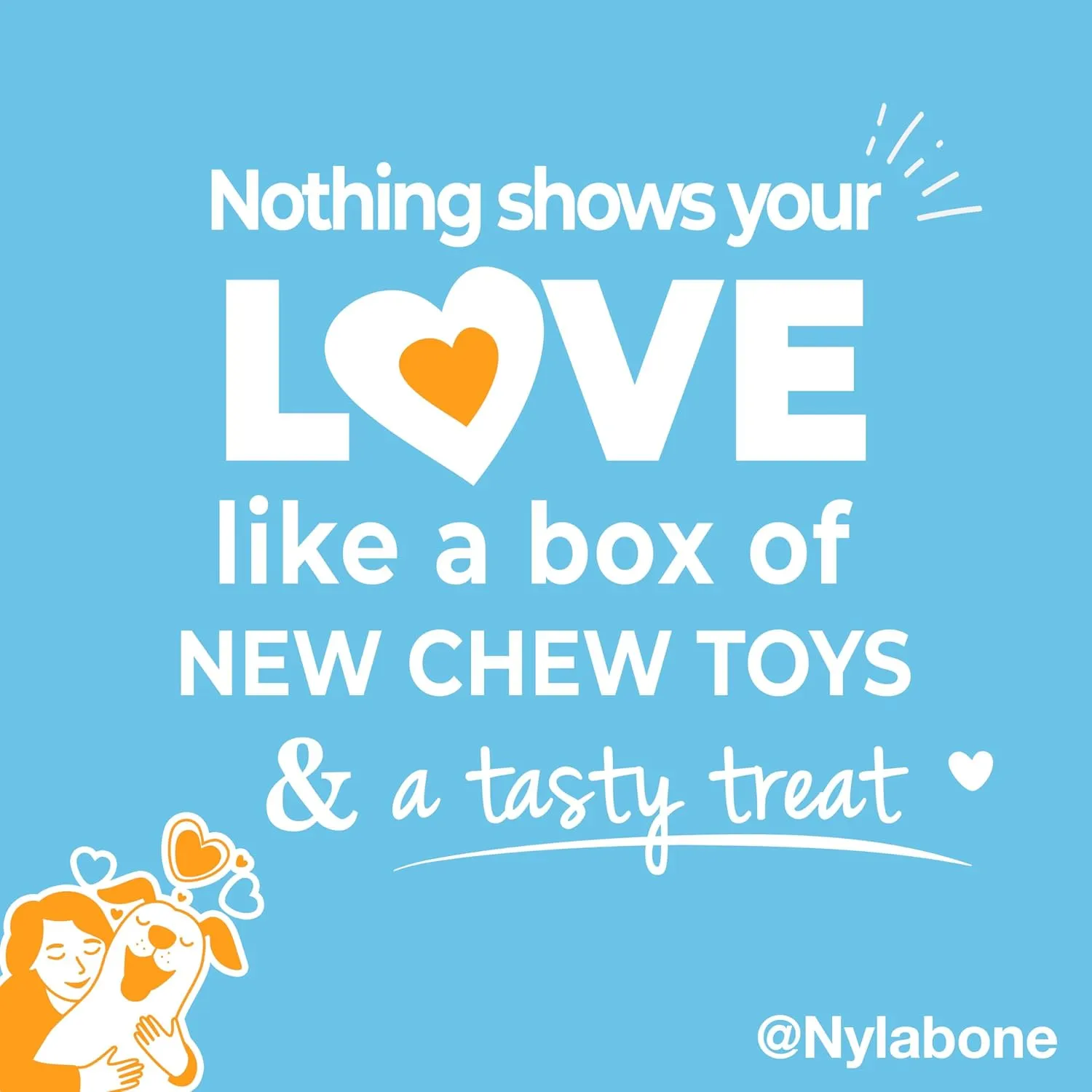 Nylabone Puppy Gift Box, Includes 3 Strong Chew Toys and 1 Natural Dog Treat, Gifts for Puppies, Small - Up to 25 lbs, 4 Pack