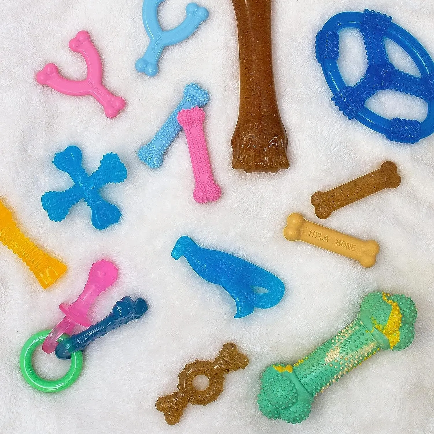 Nylabone Ring Bone Chew Toy for Puppies, Puppy Teething Toys, Chicken Flavor, Chicken Flavor, X-Small - Up to 15 lbs, 2 Pack