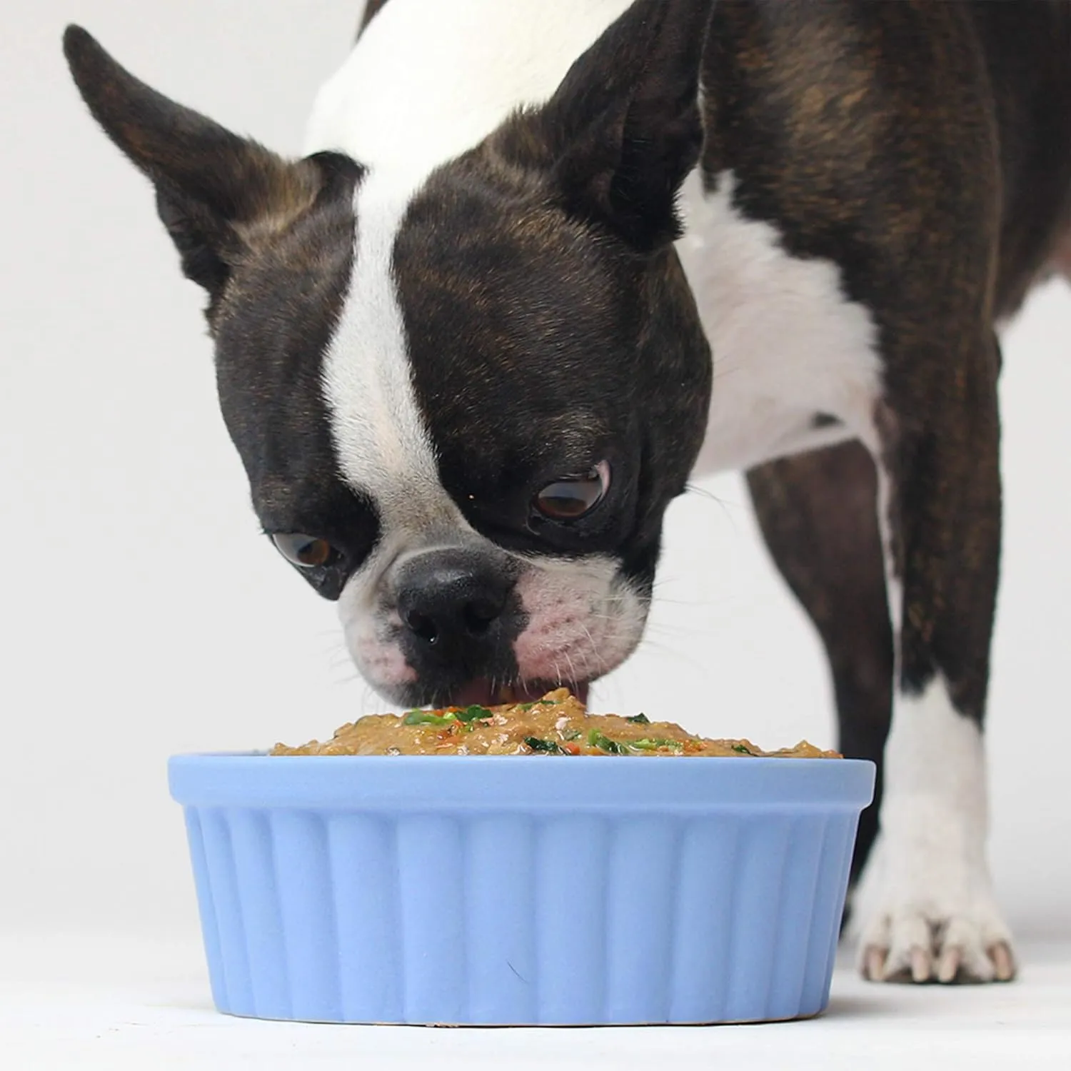 Open Farm Herring & Mackerel Rustic Stew Wet Dog Food, Grain-Free Meal or Food Topper with Responsibly Sourced Meat and Superfoods Without Artificial Ingredients, 12.5 Oz (Pack of 12 Boxes)