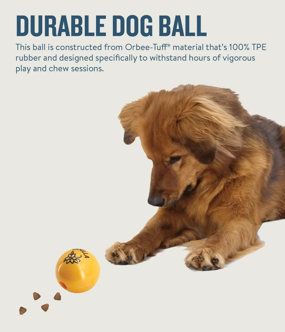 Orbee-Tuff Essentials Ball