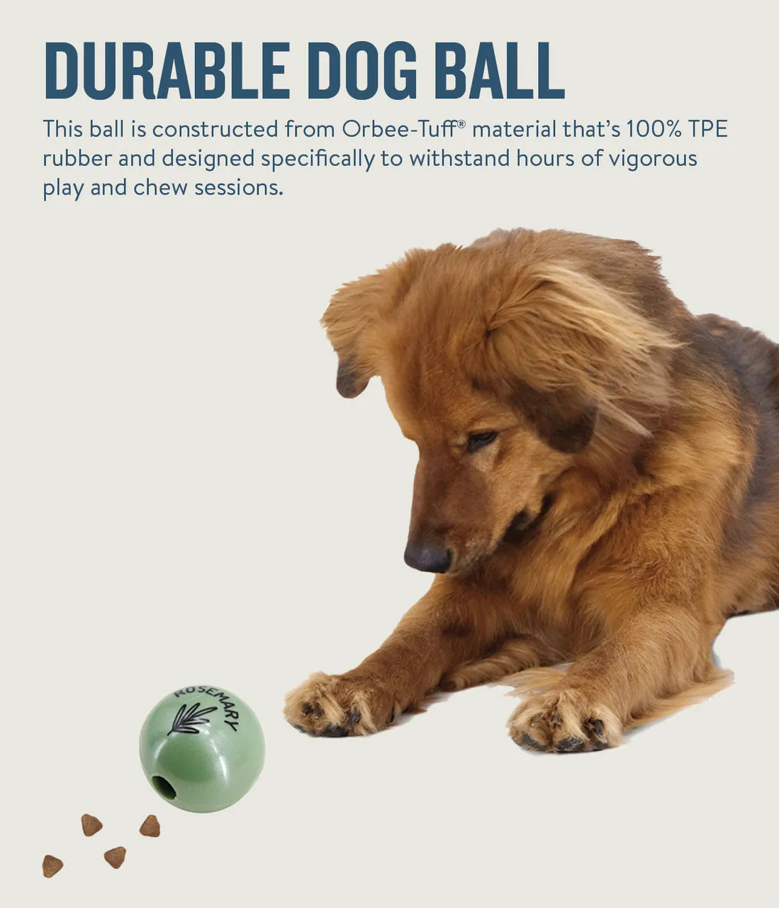 Orbee-Tuff Essentials Ball