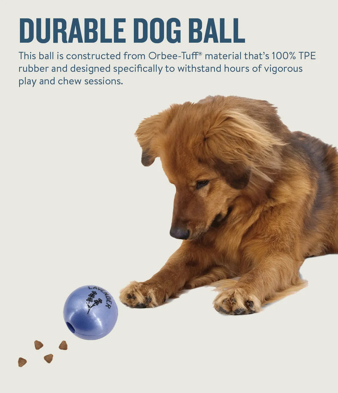 Orbee-Tuff Essentials Ball