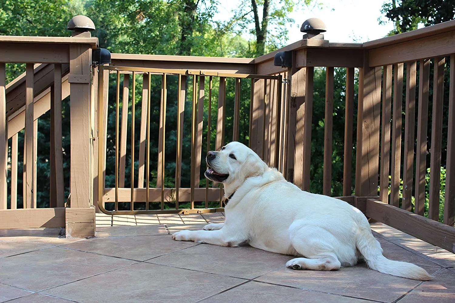 Outdoor Stair Pet Gate - Cardinal Stairway Special Outdoor Pet Gate