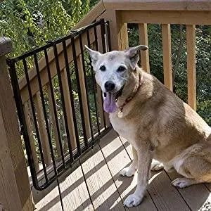 Outdoor Stair Pet Gate - Cardinal Stairway Special Outdoor Pet Gate