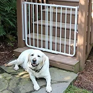 Outdoor Stair Pet Gate - Cardinal Stairway Special Outdoor Pet Gate
