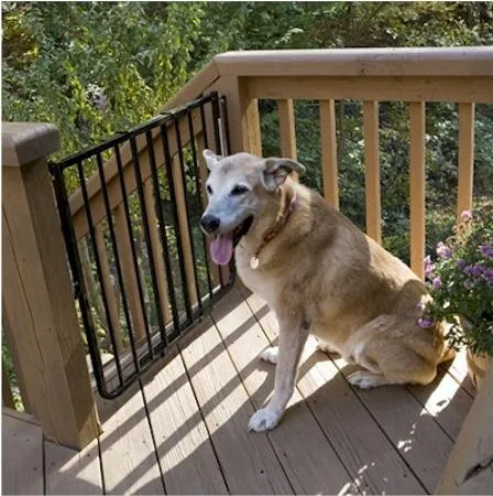 Outdoor Stair Pet Gate - Cardinal Stairway Special Outdoor Pet Gate