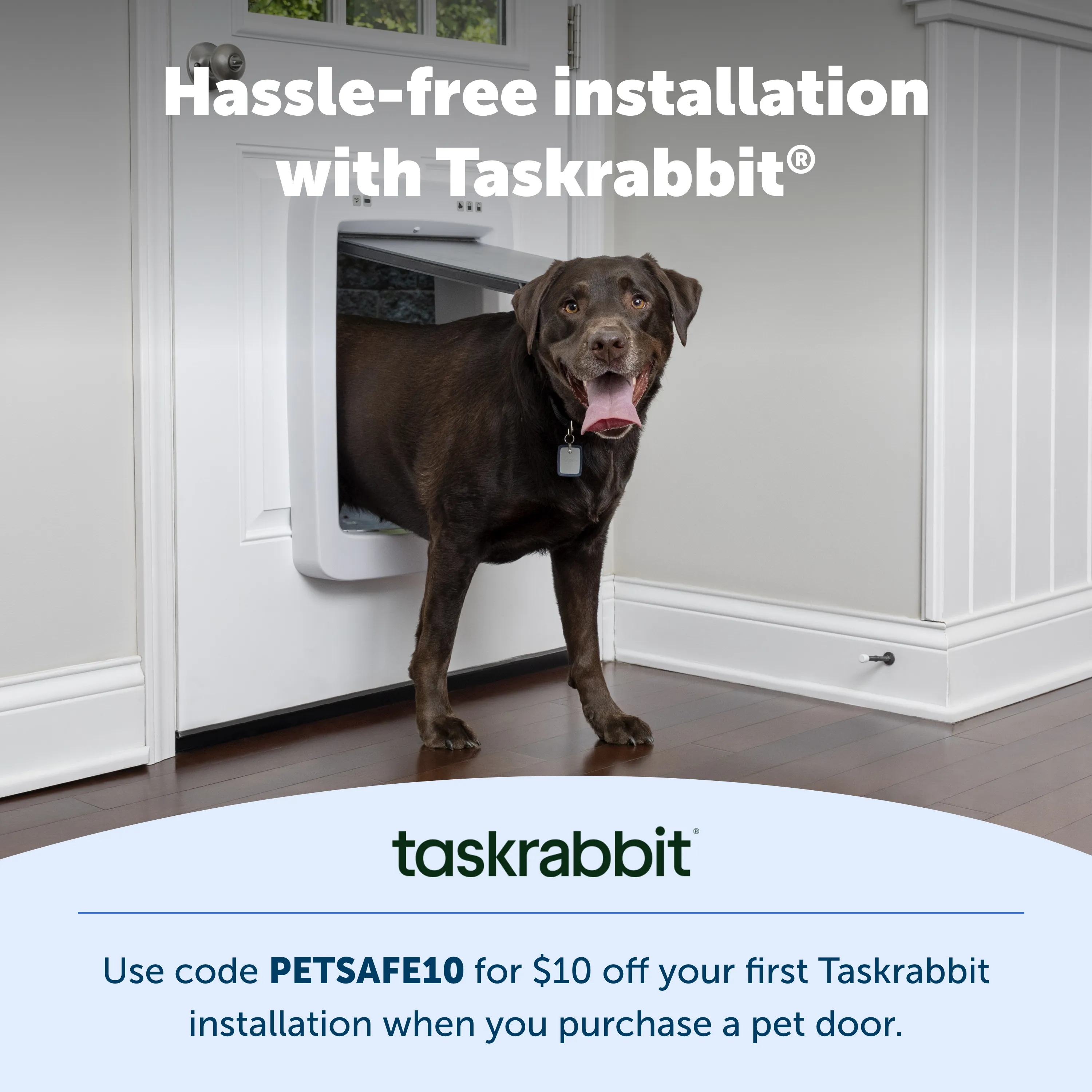 Plastic Pet Door