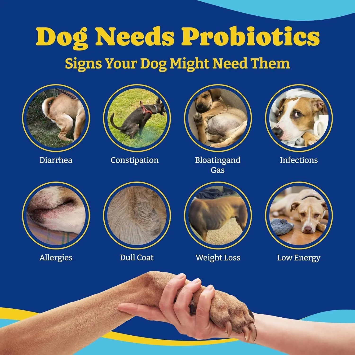 Probiotics for Dogs - Dog Probiotics for Digestive Health, Yeast, Itchy Skin, Gut Health, Immune & Skin - 6 Billion CFUs, 180 Soft Chews, Duck & Pear Flavor - with Prebiotics & Digestive Enzymes