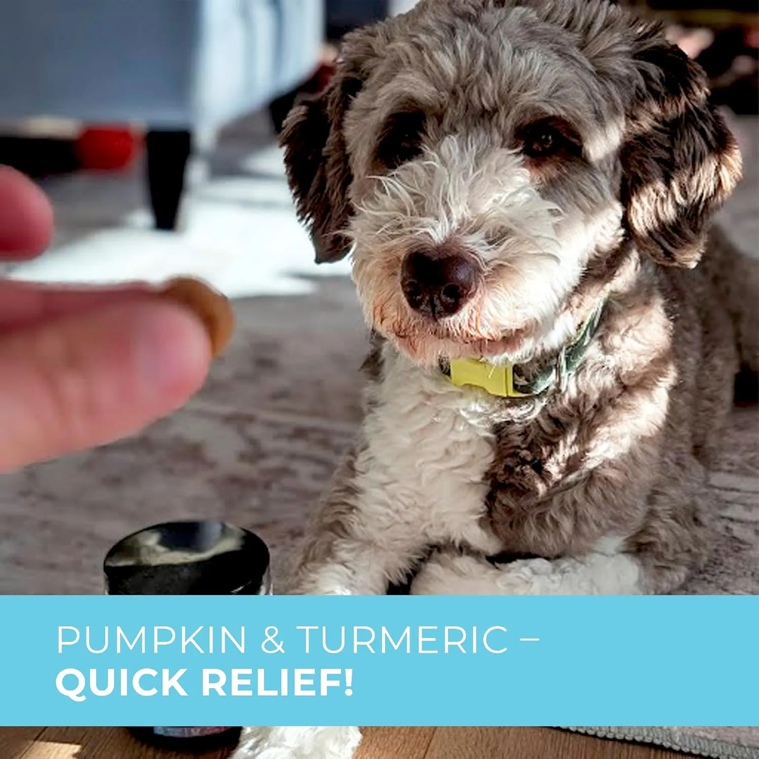 Probiotics for Dogs - PhD Endorsed Digestive Enzymes - Gut Health, Diarrhea & Bowel Support - Dog Treats with Turmeric, Omega-3 & Fiber - Immune Soft 140 Chews - Beef Flavor - Made in USA
