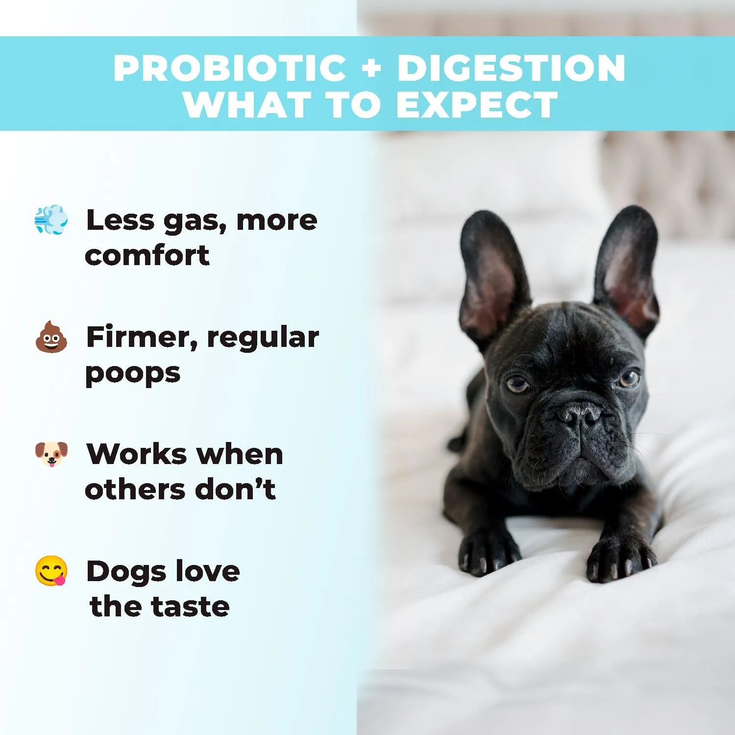 Probiotics for Dogs - PhD Endorsed Digestive Enzymes - Gut Health, Diarrhea & Bowel Support - Dog Treats with Turmeric, Omega-3 & Fiber - Immune Soft 140 Chews - Beef Flavor - Made in USA