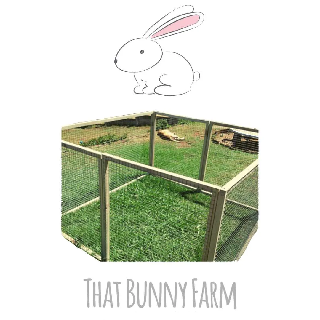 Rabbit Playpen