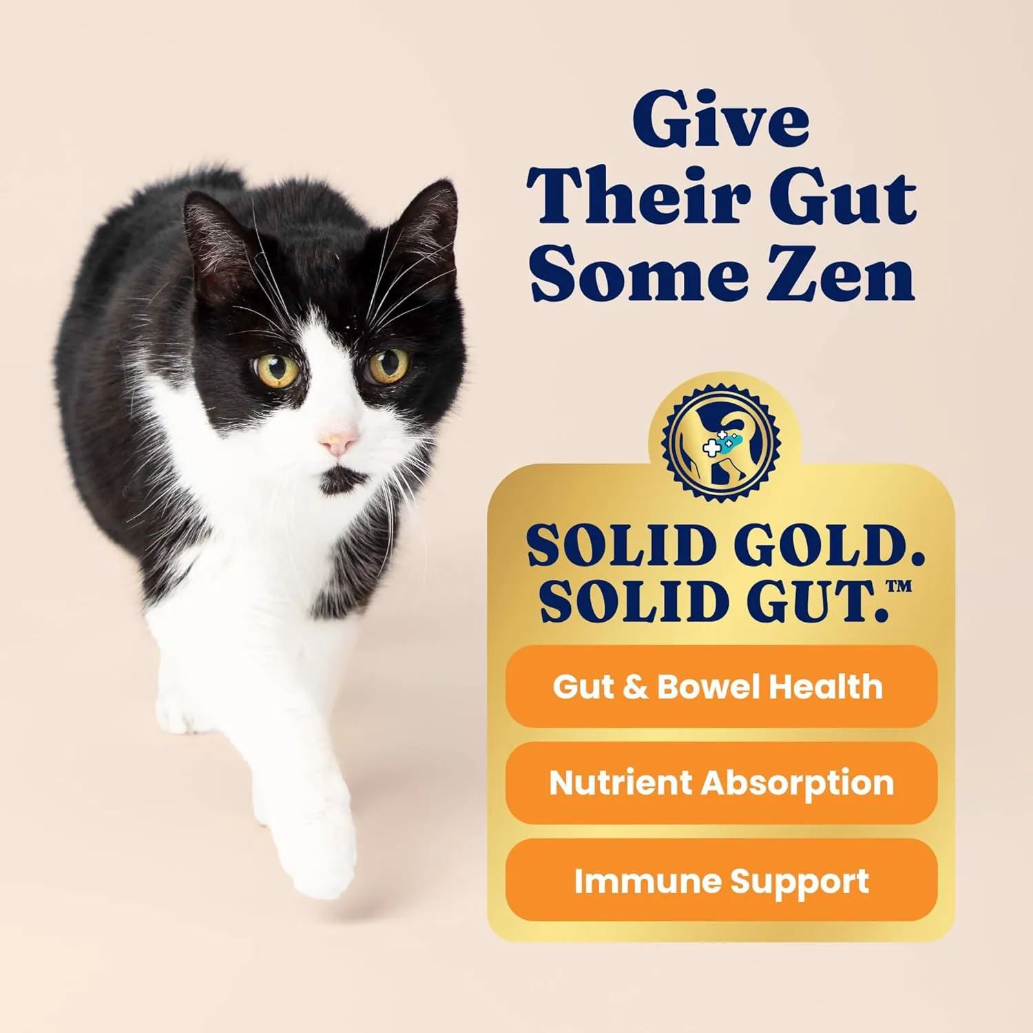Solid Gold Sensitive Stomach Dry Cat Food - Made with Real Quail & Pumpkin - Winged Tiger Grain Free Cat Food Sensitive Stomach for Adult & Senior Cats - Supports Immune & Digestive Health - 6lb