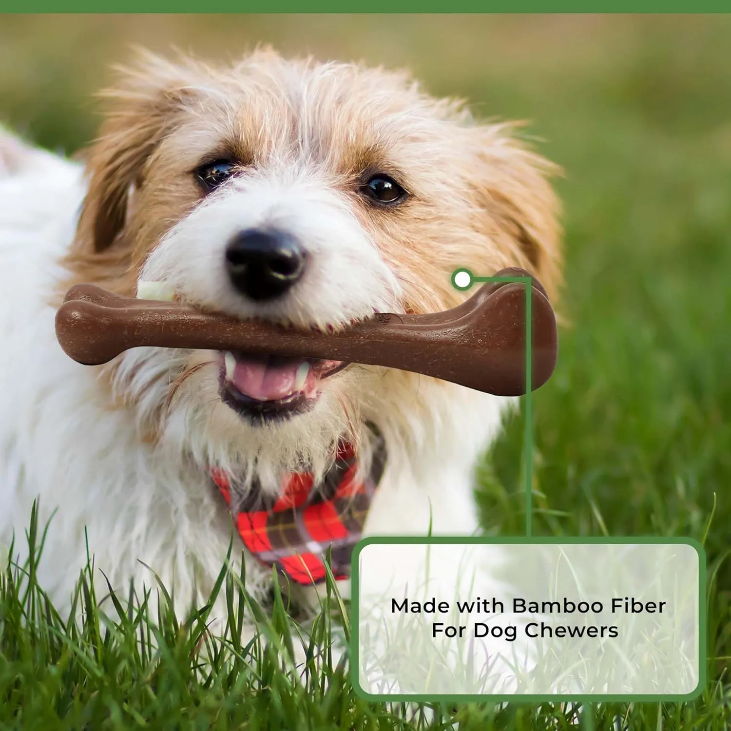 SPOT Bam-Bones Bone - Made with Strong Bamboo Fiber, Durable Long Lasting Dog Chew for Light to Moderate Chewers, Great Toy for Adult Dogs & Teething Puppies Under 25lbs, 5.75in, Bacon Flavor