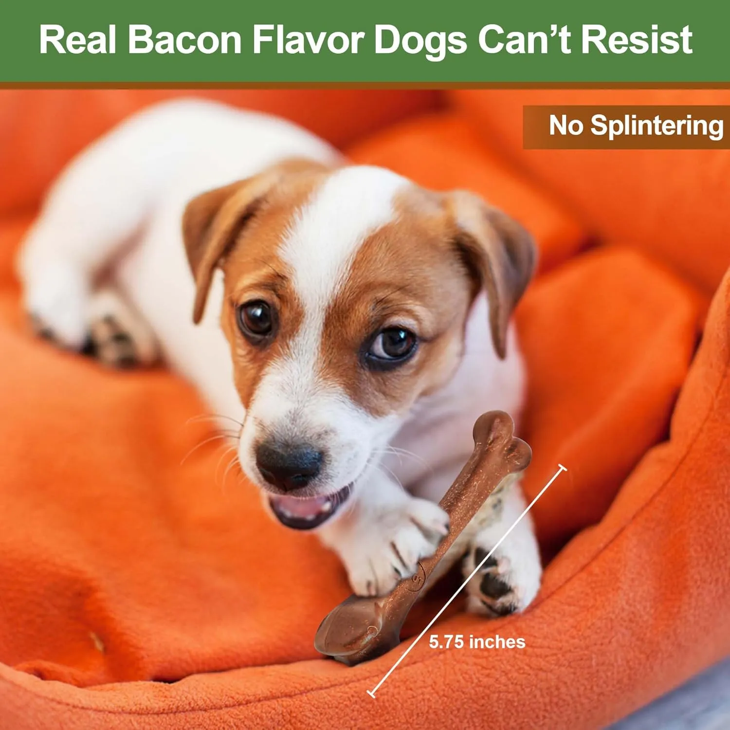 SPOT Bam-Bones Bone - Made with Strong Bamboo Fiber, Durable Long Lasting Dog Chew for Light to Moderate Chewers, Great Toy for Adult Dogs & Teething Puppies Under 25lbs, 5.75in, Bacon Flavor