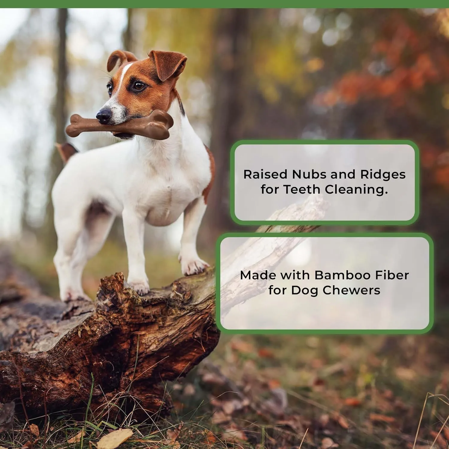 SPOT Bam-Bones Bone - Made with Strong Bamboo Fiber, Durable Long Lasting Dog Chew for Light to Moderate Chewers, Great Toy for Adult Dogs & Teething Puppies Under 25lbs, 5.75in, Bacon Flavor