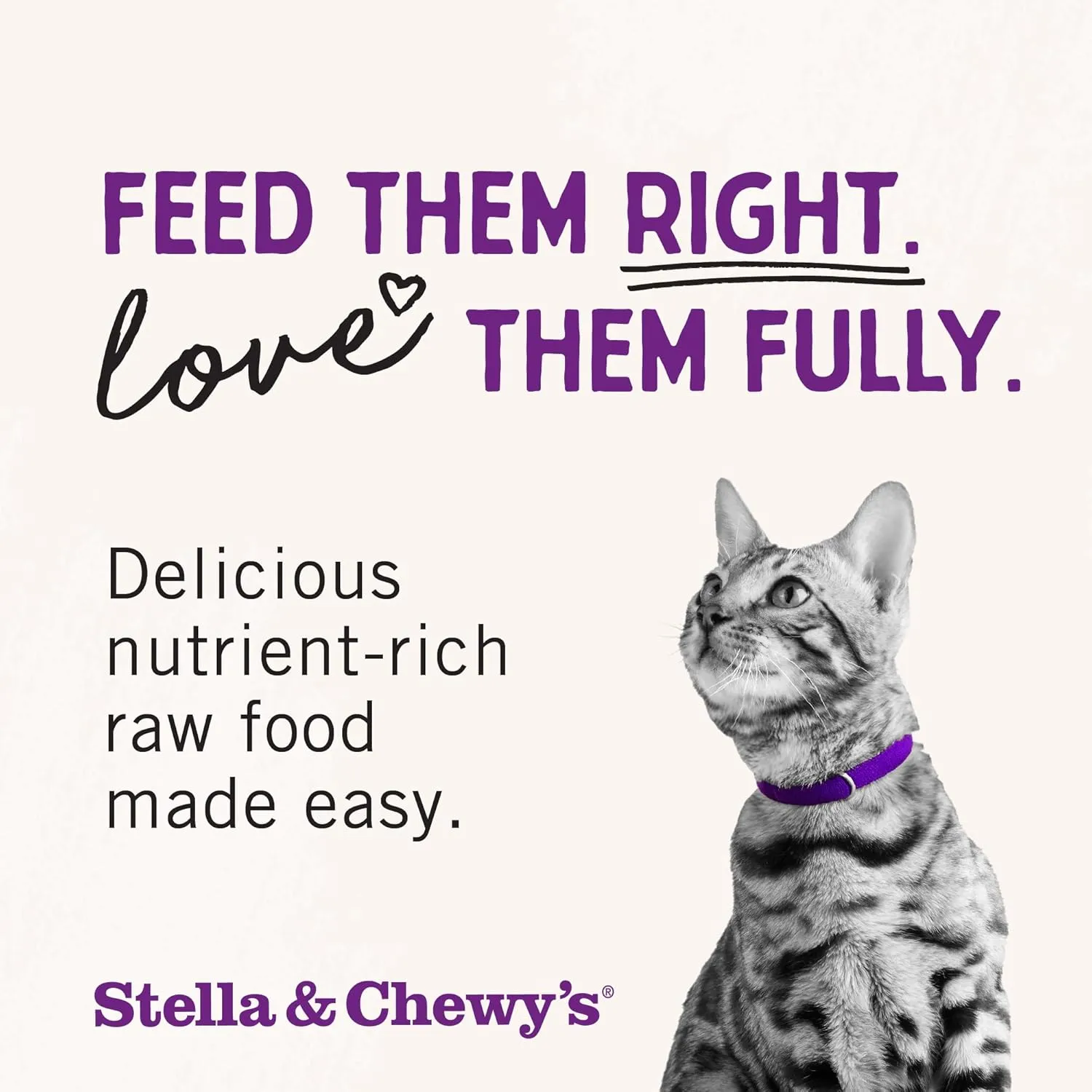 Stella & Chewy's Freeze-Dried Raw Cat Dinner Morsels - Premium Rabbit Recipe with 98% Responsibly-Sourced Meat & Organs - Natural Grain-Free Cat & Kitten Food - Made in USA - 3.5 oz