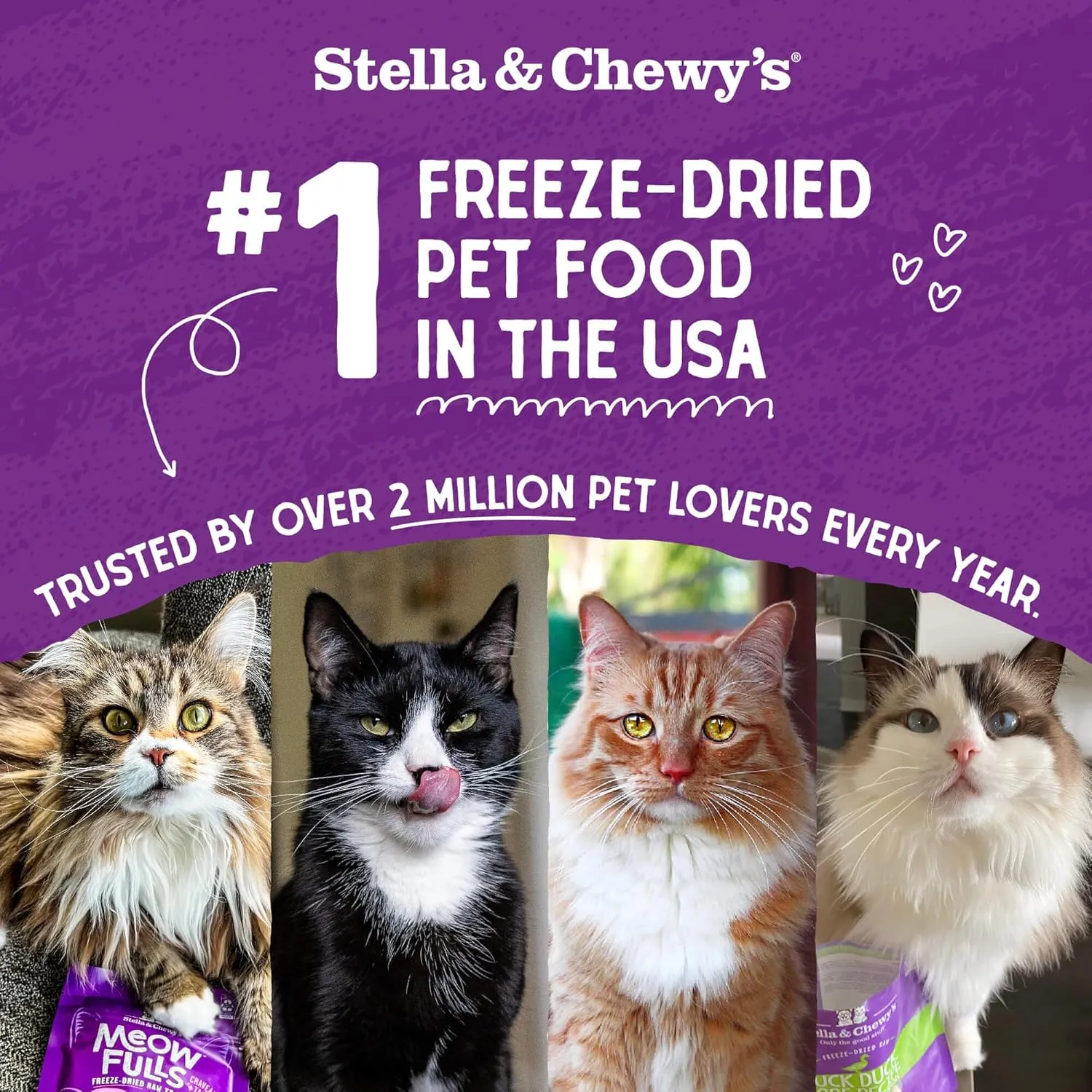 Stella & Chewy's Freeze-Dried Raw Cat Dinner Morsels - Premium Rabbit Recipe with 98% Responsibly-Sourced Meat & Organs - Natural Grain-Free Cat & Kitten Food - Made in USA - 3.5 oz