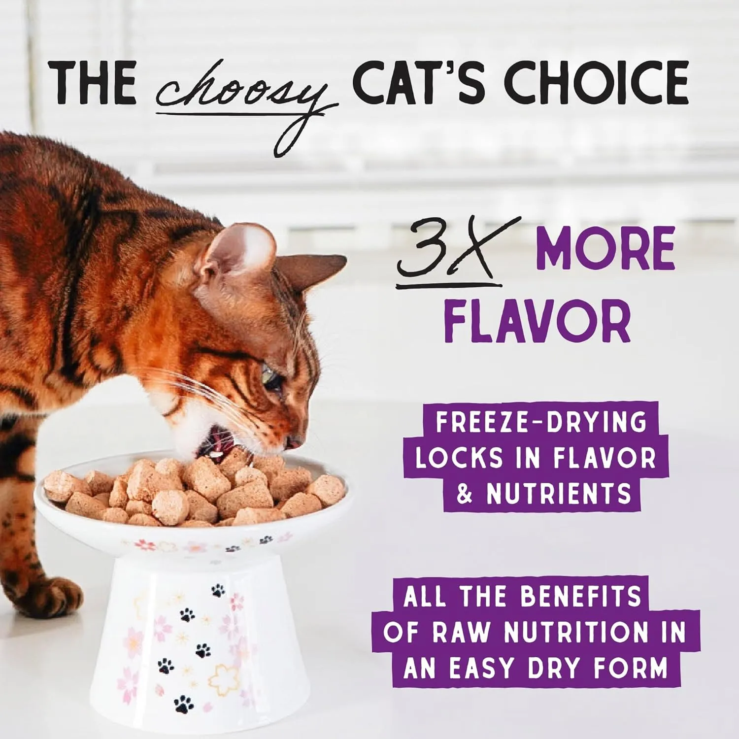 Stella & Chewy's Freeze-Dried Raw Cat Dinner Morsels - Premium Rabbit Recipe with 98% Responsibly-Sourced Meat & Organs - Natural Grain-Free Cat & Kitten Food - Made in USA - 3.5 oz