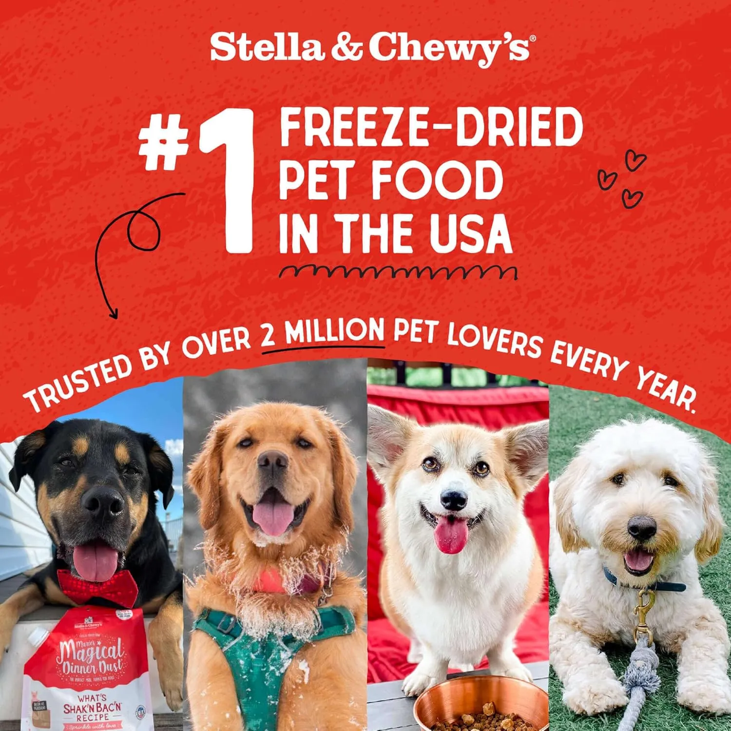 Stella & Chewy's Freeze-Dried Raw Chicken Breast Dog Treats - Single Ingredient, No Additives - Premium Training Treats - Perfect For Picky Eaters - 2.75oz Bag