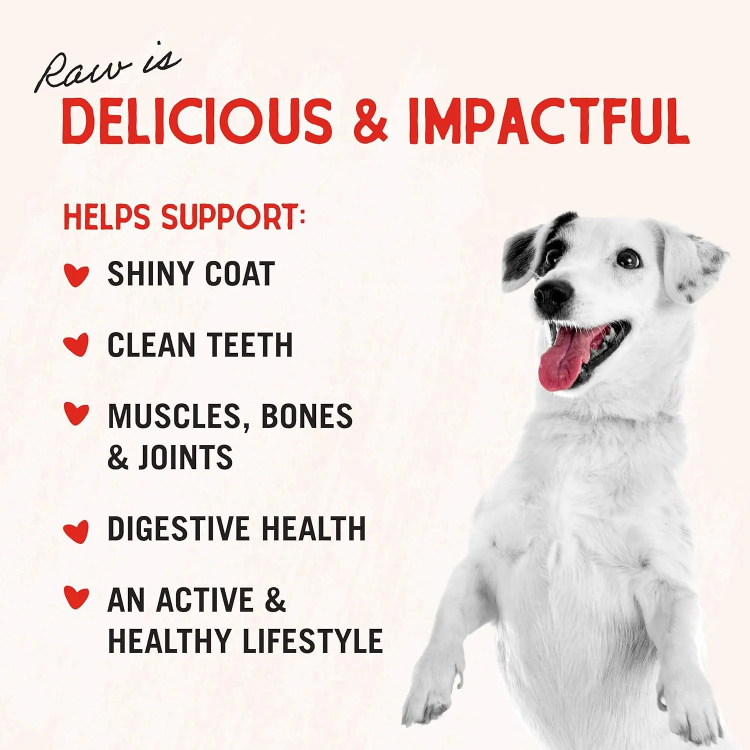 Stella & Chewy's Freeze-Dried Raw Chicken Breast Dog Treats - Single Ingredient, No Additives - Premium Training Treats - Perfect For Picky Eaters - 2.75oz Bag