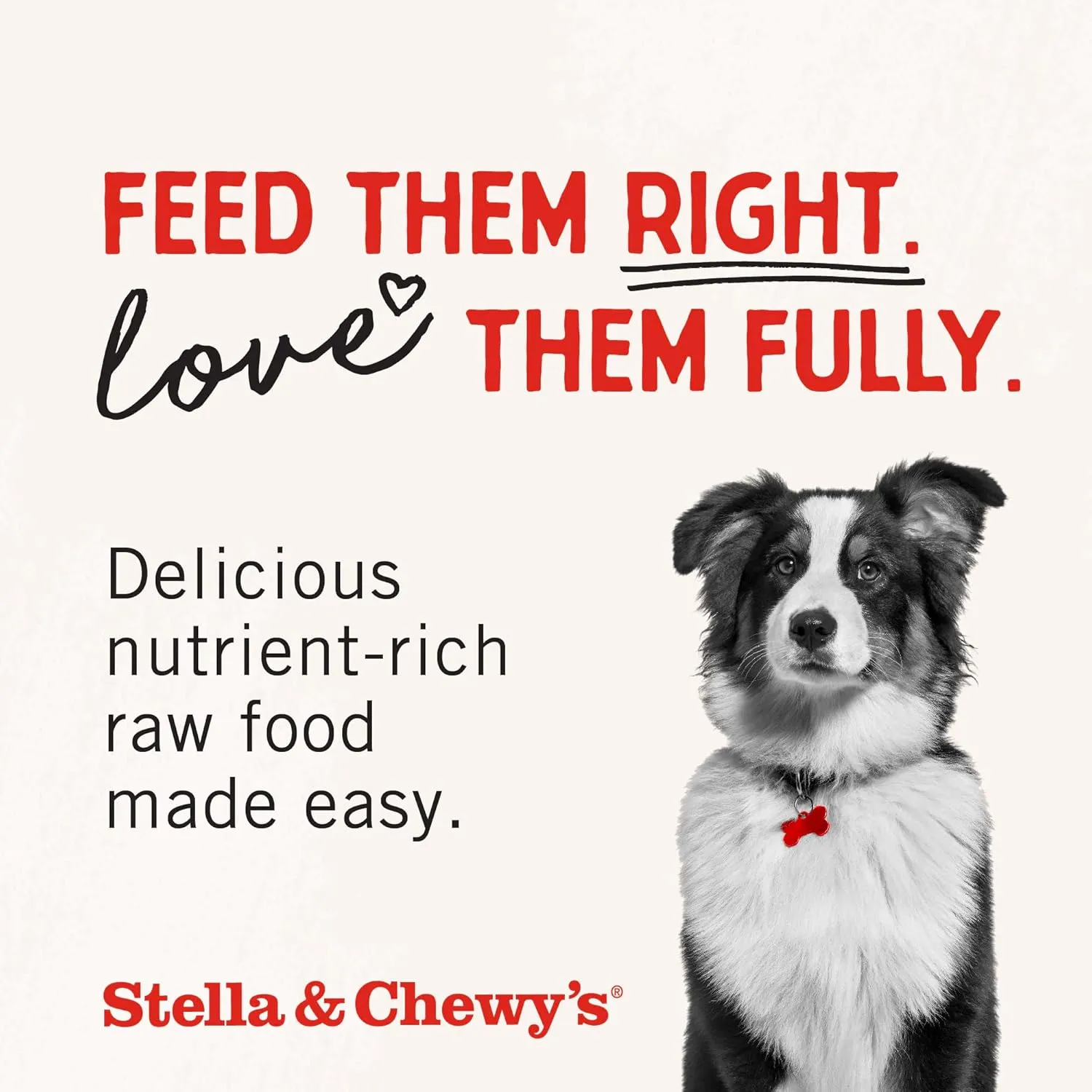 Stella & Chewy's Freeze-Dried Raw Chicken Heart Dog Treats - Single Ingredient, No Additives - Premium Training Treats - Perfect For Picky Eaters - 3oz Bag