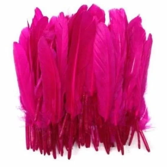 Tiny Goose Pointer Feathers 10 grams - Cerise